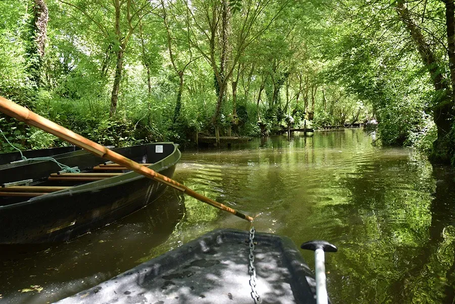 marais poitevin (1)