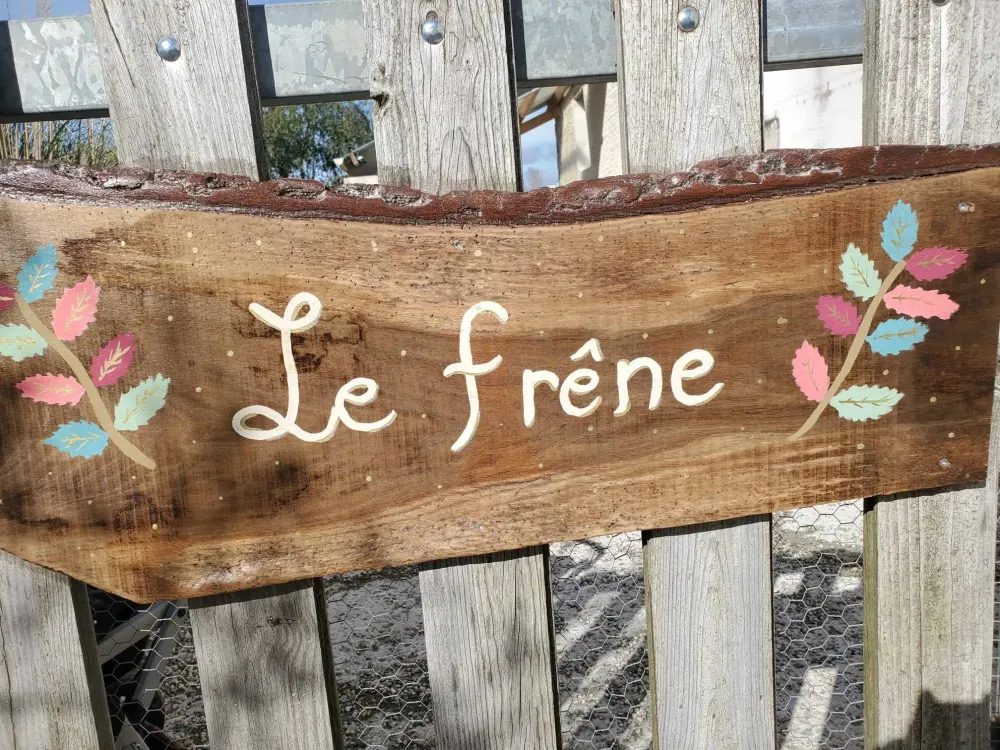frenbe (1)